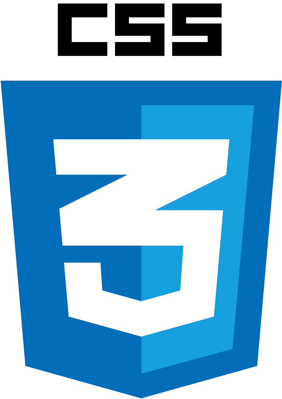 css3